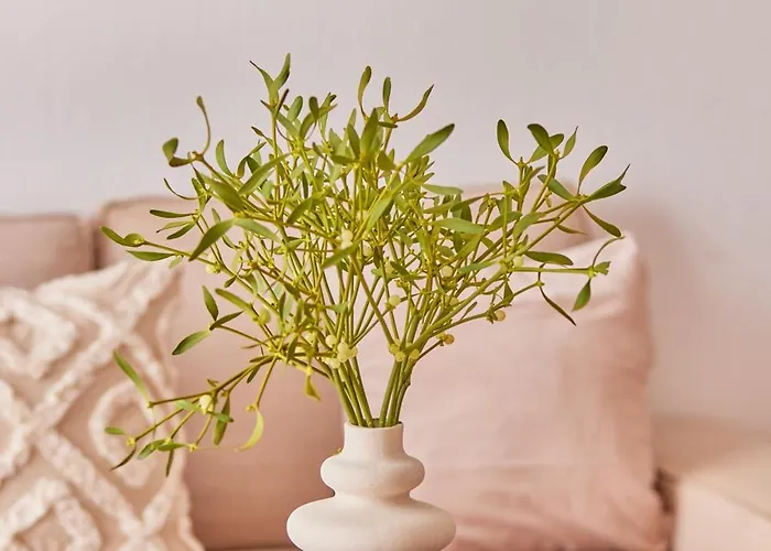 Michele Studentenecke * Kaiserslautern